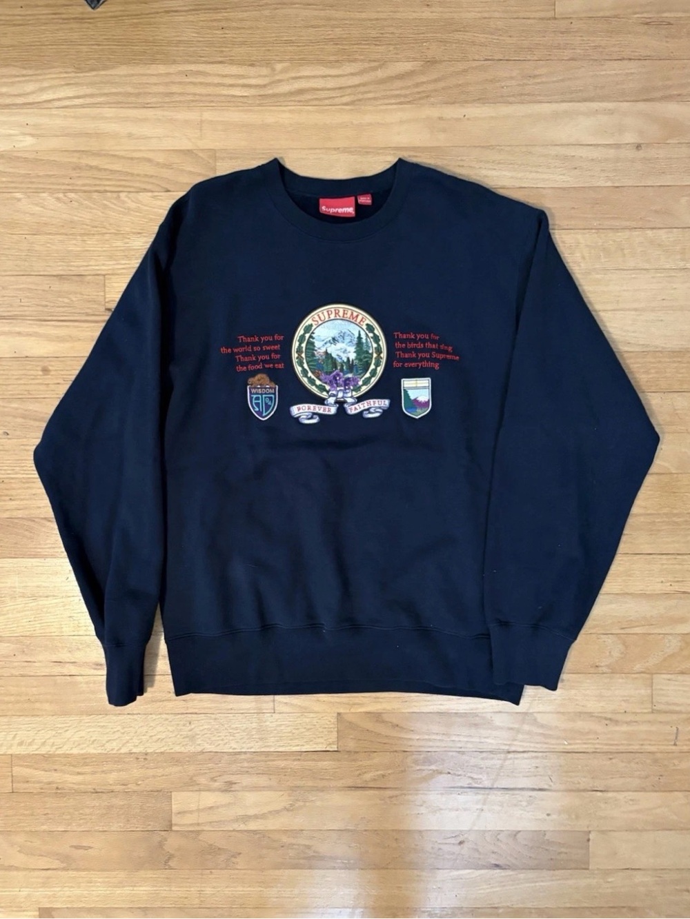 Authentic supreme fw16 forever faithful pullover